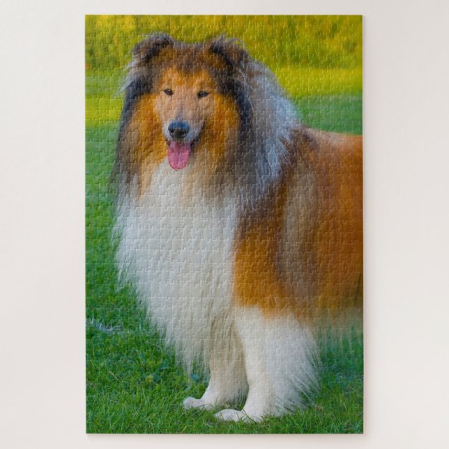 Rauhhaar Collie Hund Puzzles. (Vertikal)