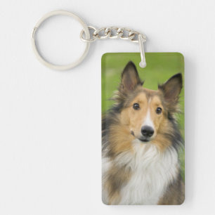 Rauhhaar Collie, Hund Schlüsselanhänger