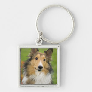 Rauhhaar Collie, Hund Schlüsselanhänger