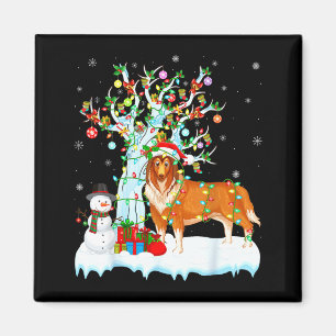 Rauhhaar Collie Hund Weihnachtsbaum Beleuchtung Ra Magnet