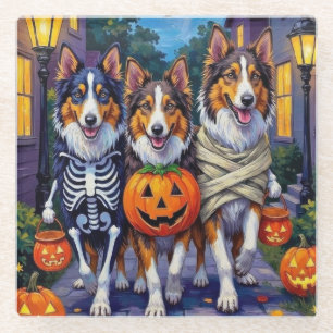 Rauhhaar Collie Trick-or-Treating Halloween Kostüm Glasuntersetzer
