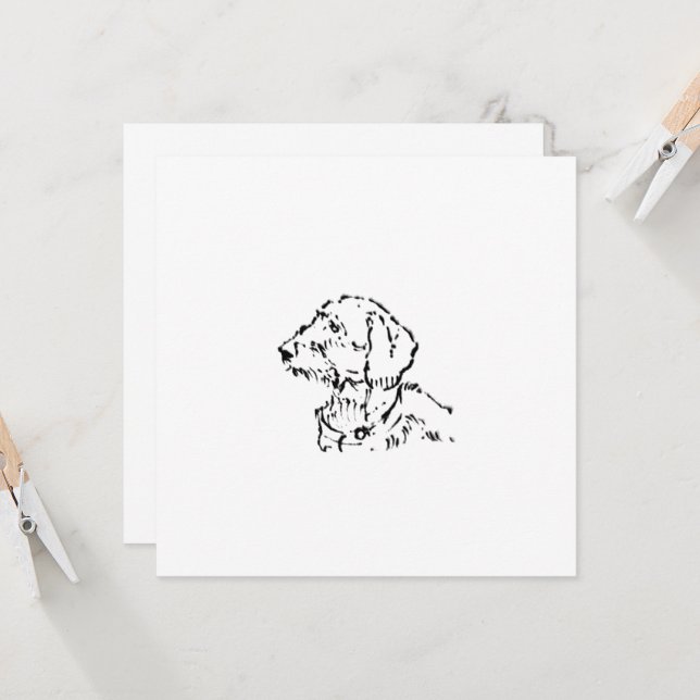 Rauhhaar-Dachshund-Hundeeltern (Vorderseite/Rückseite Beispiel)