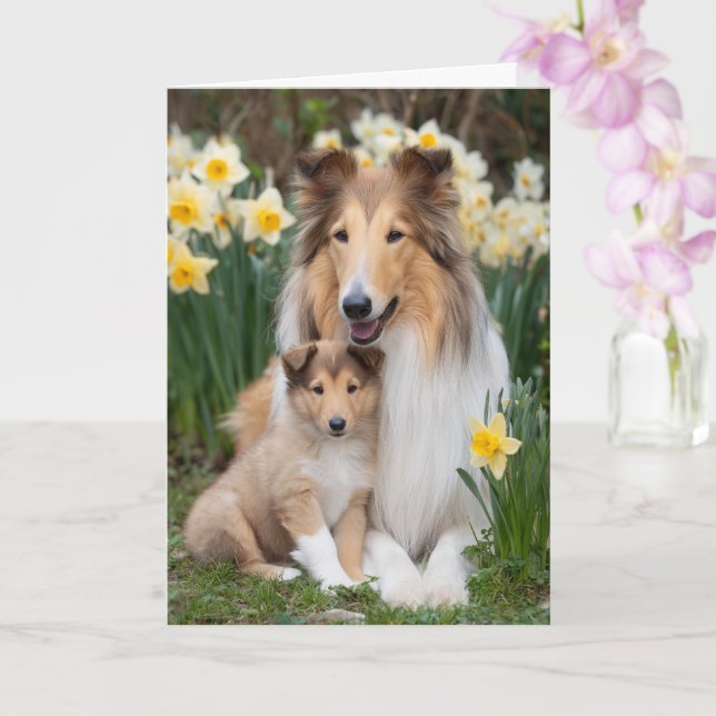 Rauhhaard Collie Mutter Muttertag Liebe Karte (Orchidee)