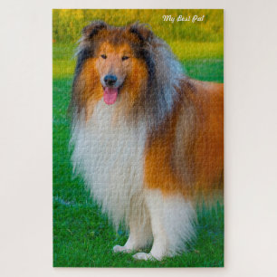 Rauhhaarige Collie-Hunde Puzzles.