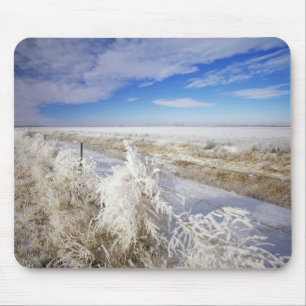 Rauhreif überzieht Tumbleweed und Zaunlinie nahe Mousepad