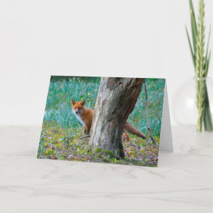 Raum-Grußkarte des roten Fuchses Karte