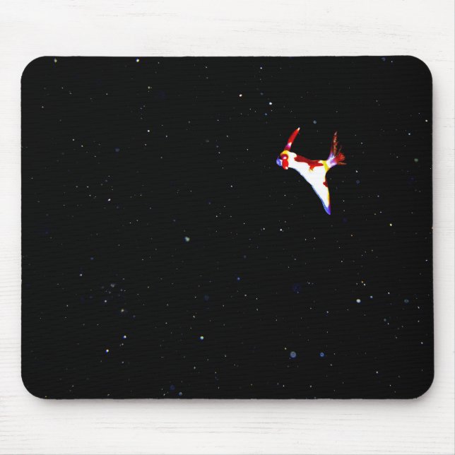 Raum Nudibranch Mousepad (Vorne)