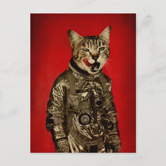 Raum schmeckt gut postkarte (Vorderseite)