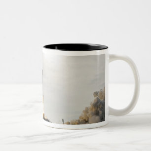 Raumfähre-Bemühung hebt 8 weg Zweifarbige Tasse