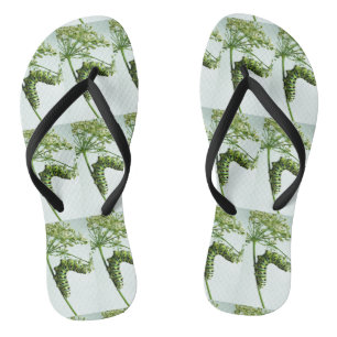 Raupe aus schwarzem Frack isst Petersilie Flip Flops