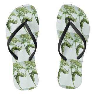 Raupe aus schwarzem Frack isst Petersilie Flip Flops