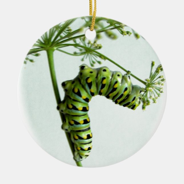 Raupe aus schwarzem Frack isst Petersilie Keramik Ornament (Vorne)