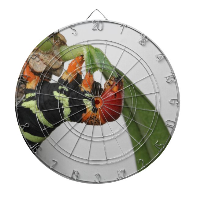 Raupe Dart Board Dartscheibe (vorne)