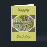 Raupe der Banded Tussock Moth Karte<br><div class="desc">Diese Raupe macht einen Kokon ihrer Haare, trockenen Blätter und Überwintern auf dem Waldboden. Wenn es im Frühling als Motte auftaucht, hat es eine Spannweite von bis zu 2 Zoll.</div>