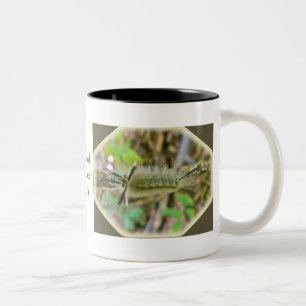 Raupe der Weißband-Wollafter Zweifarbige Tasse
