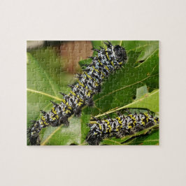Raupe Jigsaw Puzzle