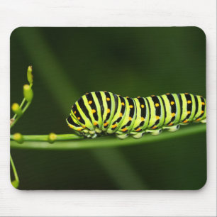 Raupe, Schmetterling, Dovetail Mousepad