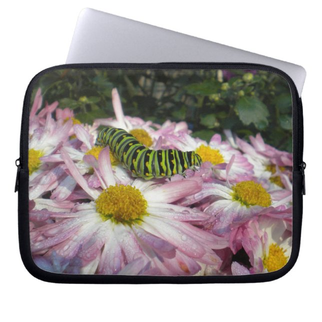 Raupe und Asters Laptop-Sieb Laptopschutzhülle (Vorderseite)