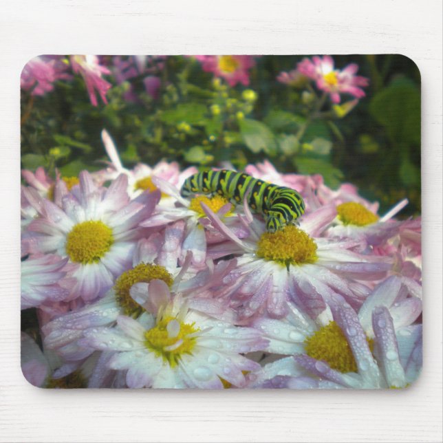 Raupe und Asters Mousepad (Vorne)