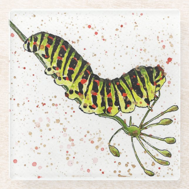 Raupe Untersetzer (Vorderseite)
