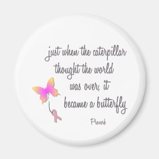 Raupe wurde zum Schmetterling Magnet