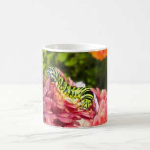 Raupe zur Tasse von Mums