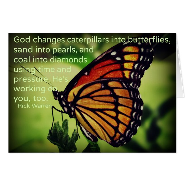 Raupen in Schmetterlinge (Vorderseite (Horizontal))