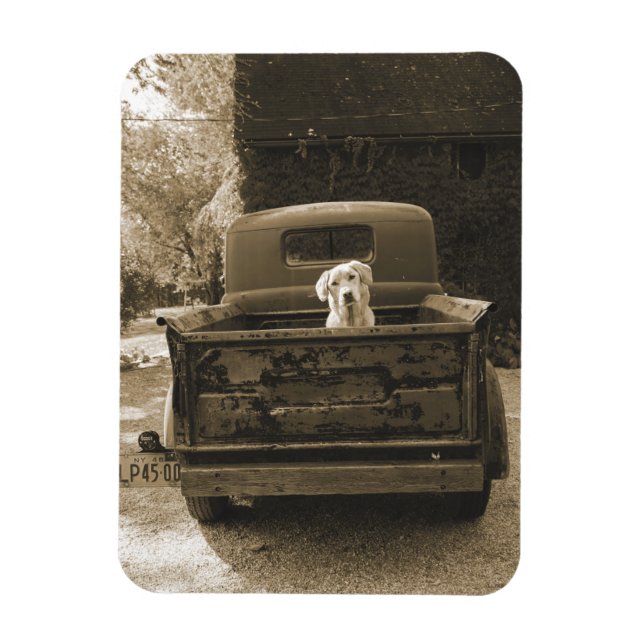 Raus aus dem Dodge - Hundfoto Magnet (Vertikal)