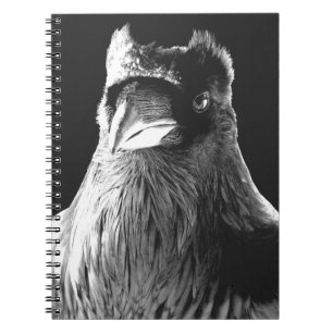 Raven Art Notebook Crow Art Journal Book Notizblock