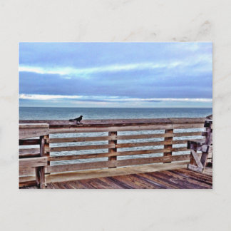 Raven auf der Jennette Pier obx North Carolina Postkarte