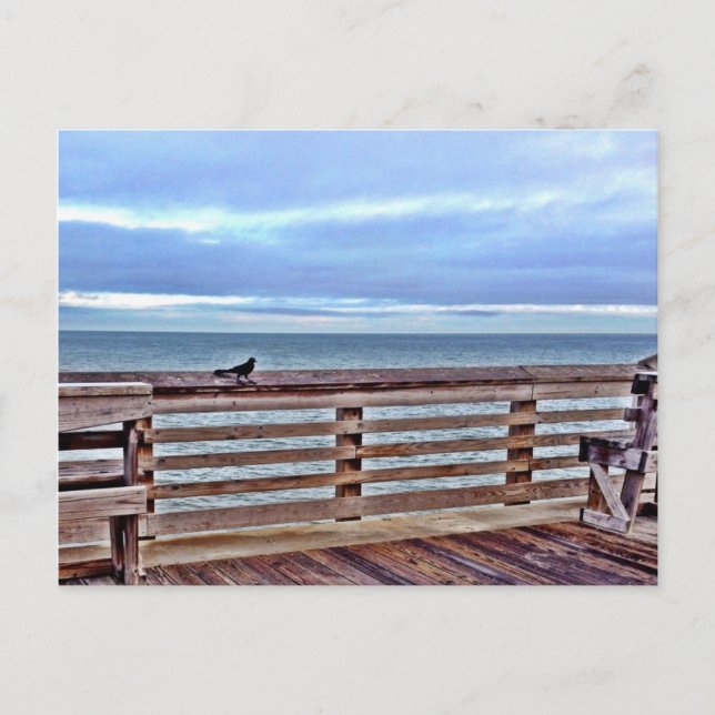 Raven auf der Jennette Pier obx North Carolina Postkarte (Vorderseite)