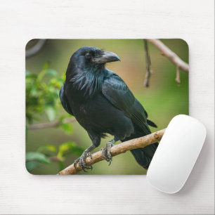 Raven auf einem Baumzweig Mousepad