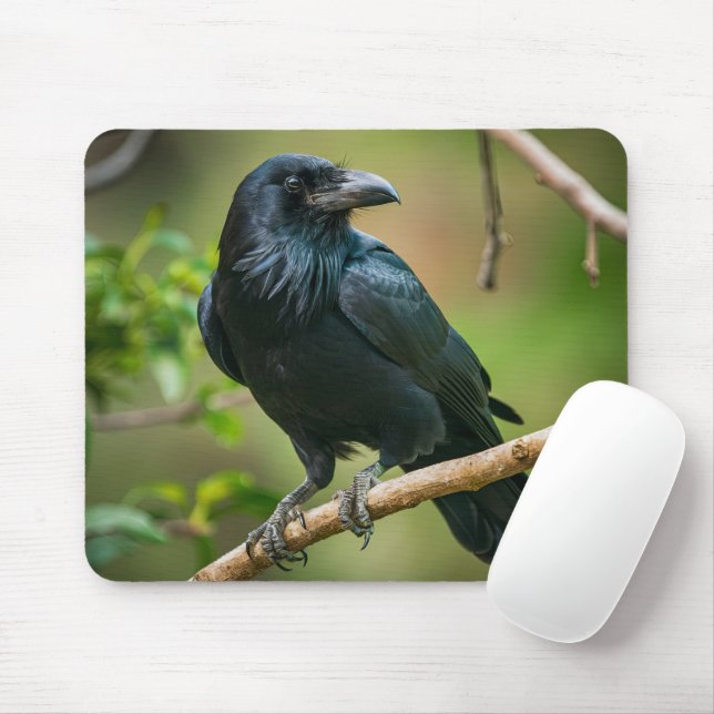 Raven auf einem Baumzweig Mousepad (Mit Mouse)
