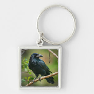 Raven auf einem Baumzweig Schlüsselanhänger