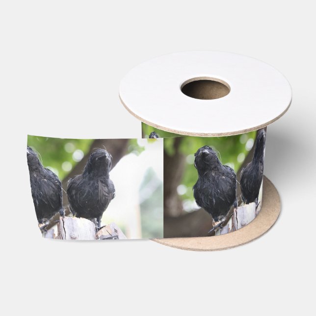 Raven Band Satinband (Spule)