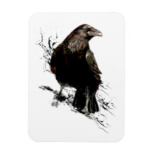 Raven Bird Art Collection Magnet
