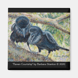 Raven Courtship Magnet