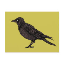 Raven Creepy Crow Bright Gothic Ink Art