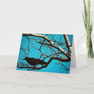Raven Crow Black Bird Silver Tree Blue Sky Photo Karte