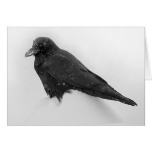 Raven dans la carte de neige