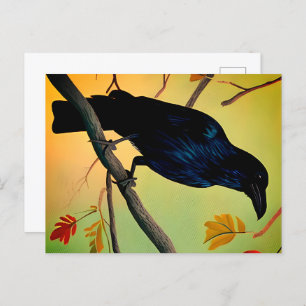 Raven De Plaisir Sur Carte Postale De Branche