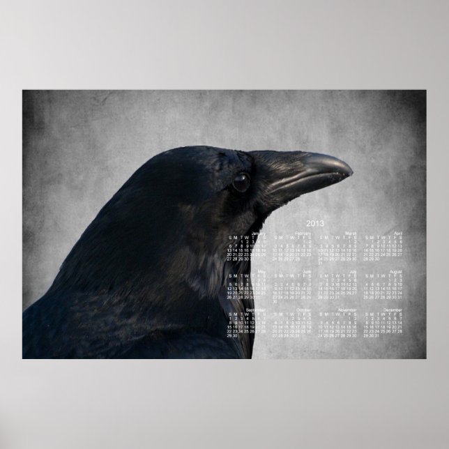 Raven Glamour Shot; Kalender 2013 Poster (Vorne)