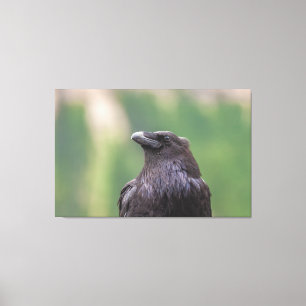 Raven Leinwanddruck