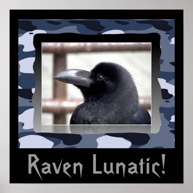 Raven Lunatic! Poster (Vorne)