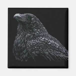 Raven Magnet