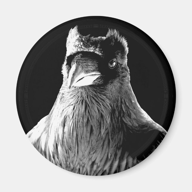 Raven Magnete Native Spirit Animal Kühlschrankmagn Magnet (Vorne)