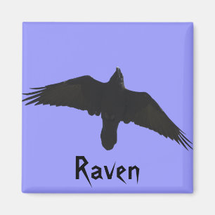 Raven Magnets Magnet