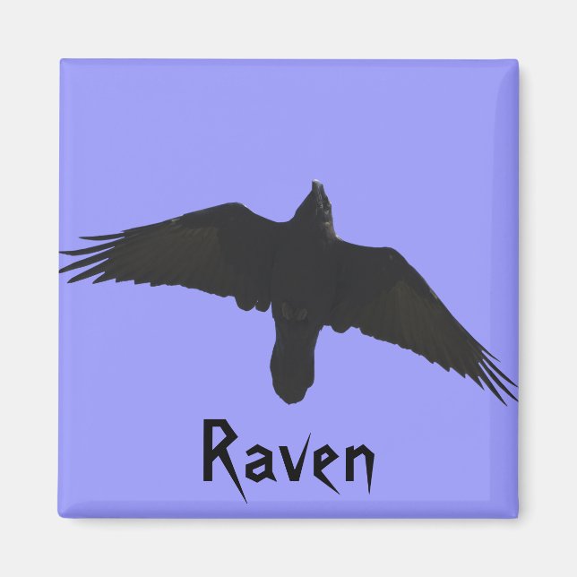 Raven Magnets Magnet (Vorne)