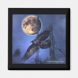 Raven Magnets Magnet