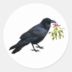Raven mit Mistletoe Stickers